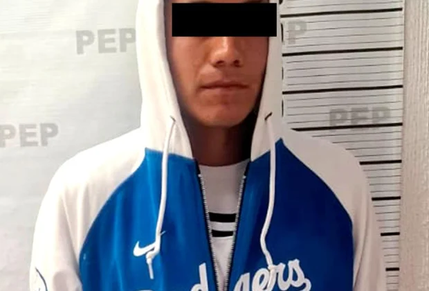 Recupera Policía Estatal 165 ejemplares de oyamel
