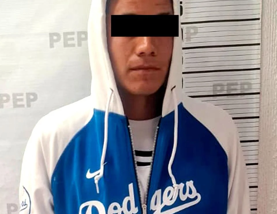 Recupera Policía Estatal 165 ejemplares de oyamel