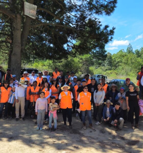 Voluntarios de Altosano y Fundación GCM en jornada de reforestación 2026 en Los Molinos