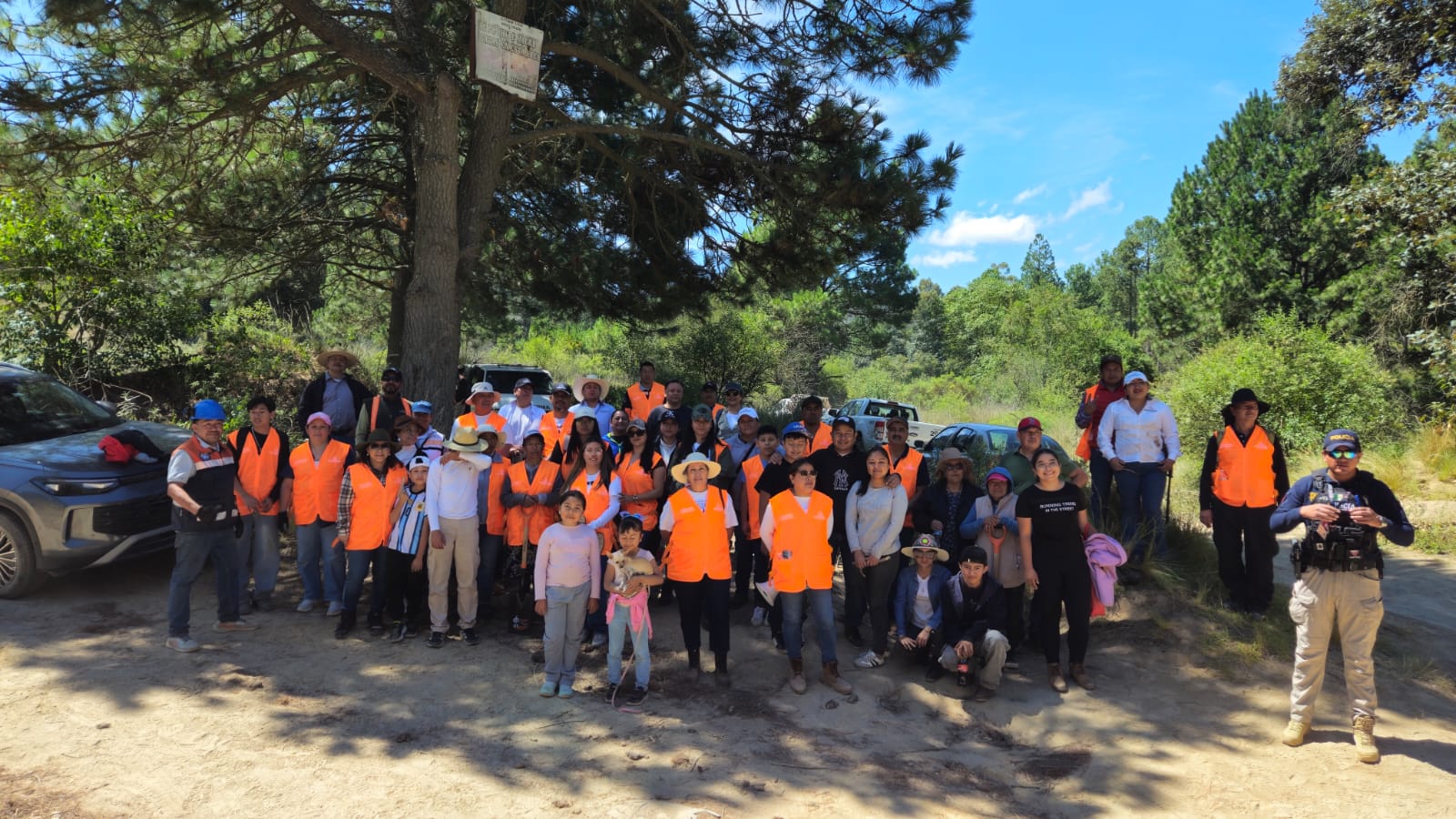 Voluntarios de Altosano y Fundación GCM en jornada de reforestación 2026 en Los Molinos