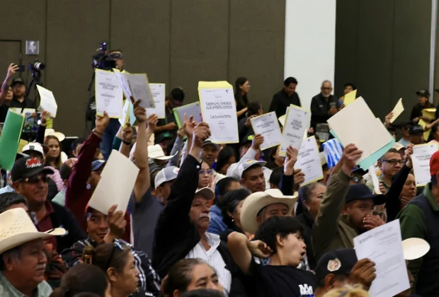 “Volver a crecer” devuelve tranquilidad a productores poblanos
