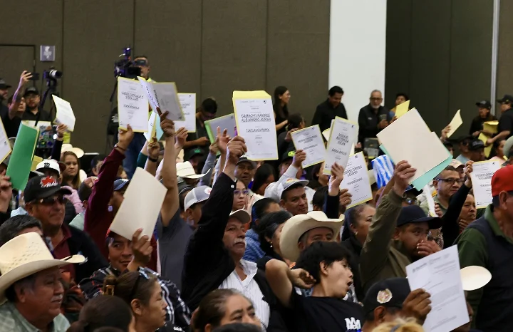 “Volver a crecer” devuelve tranquilidad a productores poblanos
