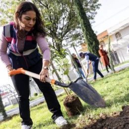 Reforestan áreas verdes en San Andrés Cholula