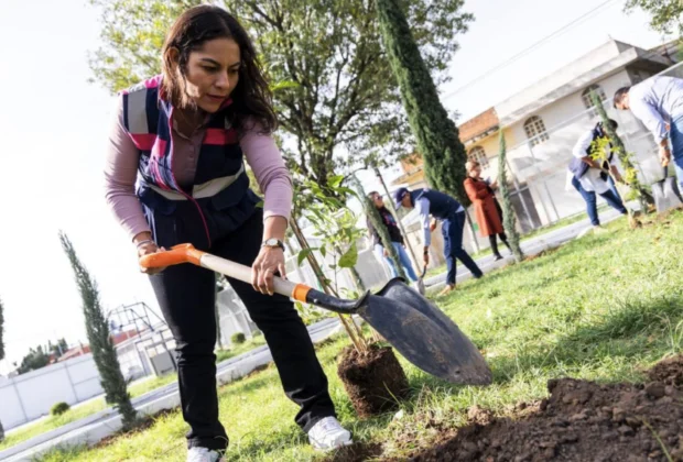 Reforestan áreas verdes en San Andrés Cholula