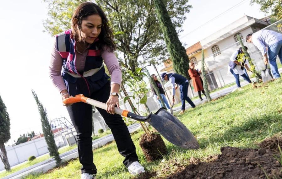 Reforestan áreas verdes en San Andrés Cholula