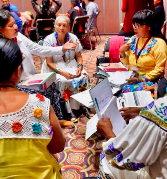 Se organiza consulta para integrar los consejos de pueblos indígenas 