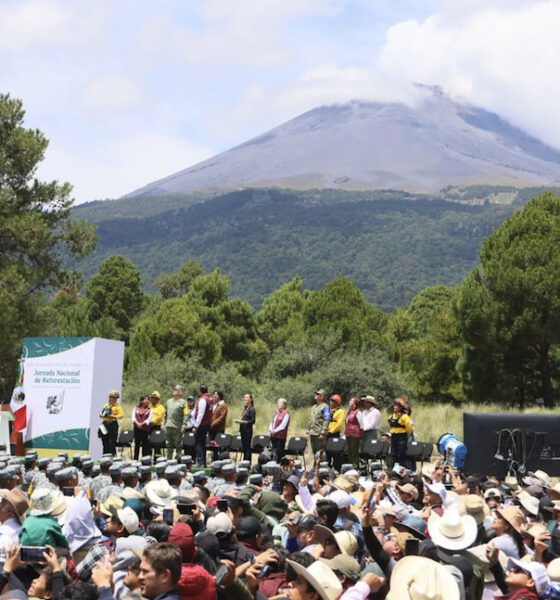 Desde el Popocatépetl Sheinbaum y Armenta iniciaron Jornada Nacional de Reforestación 